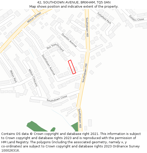 42, SOUTHDOWN AVENUE, BRIXHAM, TQ5 0AN: Location map and indicative extent of plot