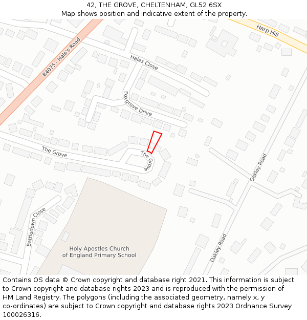 42, THE GROVE, CHELTENHAM, GL52 6SX: Location map and indicative extent of plot