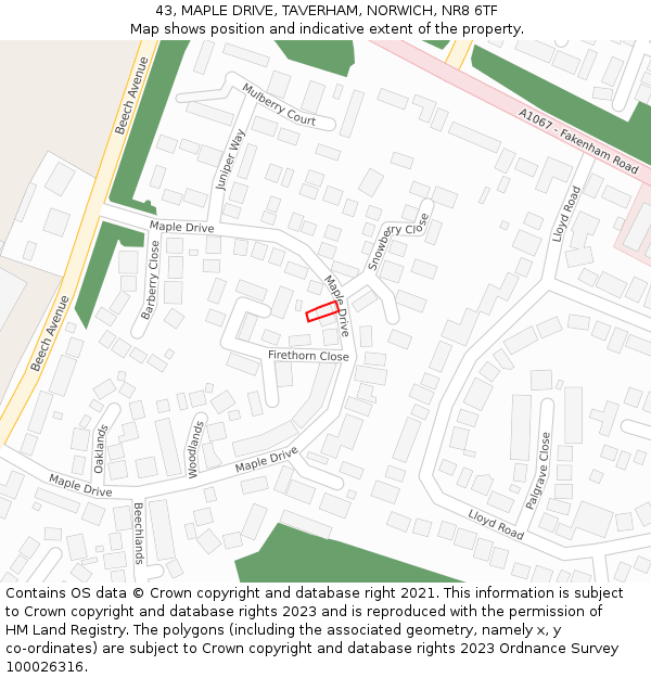 43, MAPLE DRIVE, TAVERHAM, NORWICH, NR8 6TF: Location map and indicative extent of plot