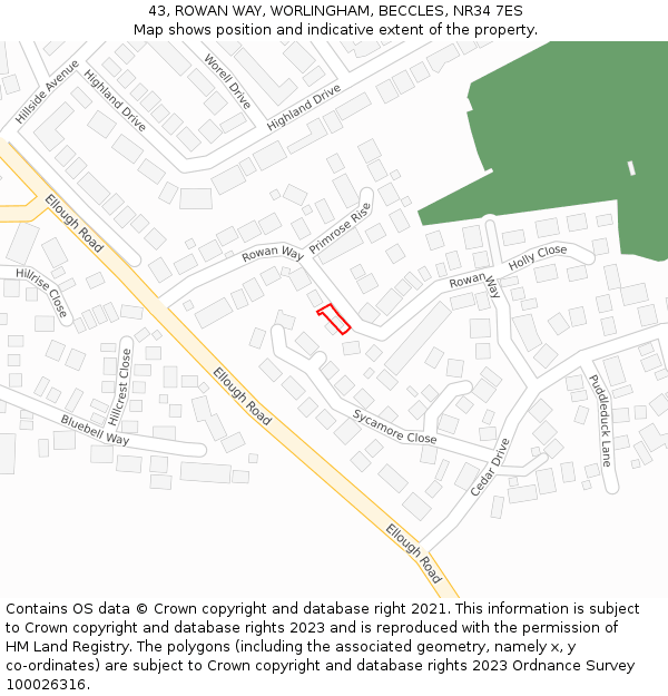 43, ROWAN WAY, WORLINGHAM, BECCLES, NR34 7ES: Location map and indicative extent of plot