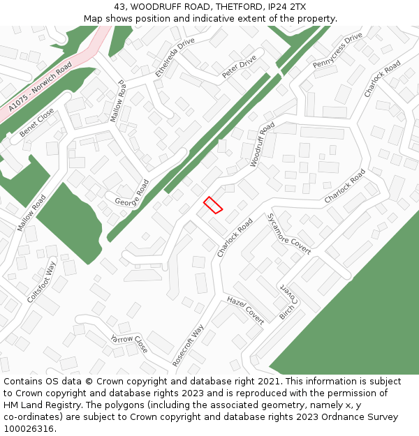 43, WOODRUFF ROAD, THETFORD, IP24 2TX: Location map and indicative extent of plot