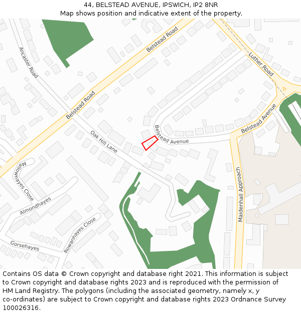 44, BELSTEAD AVENUE, IPSWICH, IP2 8NR: Location map and indicative extent of plot