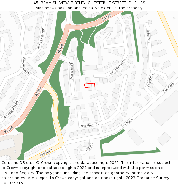 45, BEAMISH VIEW, BIRTLEY, CHESTER LE STREET, DH3 1RS: Location map and indicative extent of plot