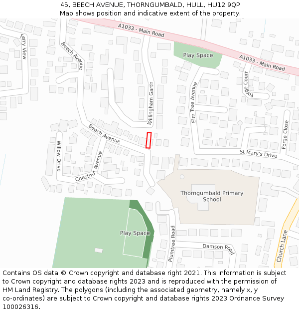 45, BEECH AVENUE, THORNGUMBALD, HULL, HU12 9QP: Location map and indicative extent of plot