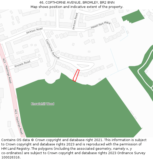 46, COPTHORNE AVENUE, BROMLEY, BR2 8NN: Location map and indicative extent of plot