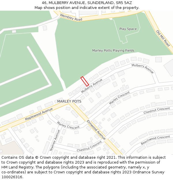 46, MULBERRY AVENUE, SUNDERLAND, SR5 5AZ: Location map and indicative extent of plot