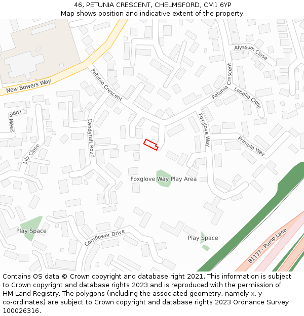 46, PETUNIA CRESCENT, CHELMSFORD, CM1 6YP: Location map and indicative extent of plot