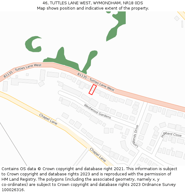 46, TUTTLES LANE WEST, WYMONDHAM, NR18 0DS: Location map and indicative extent of plot