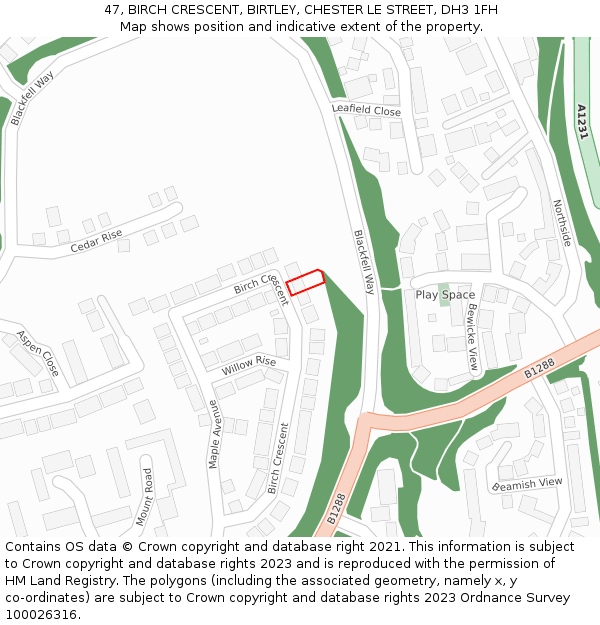 47, BIRCH CRESCENT, BIRTLEY, CHESTER LE STREET, DH3 1FH: Location map and indicative extent of plot