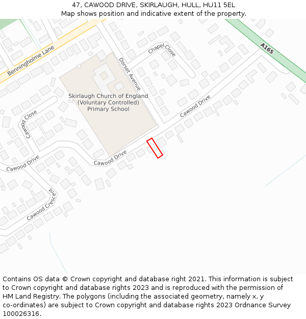 47, CAWOOD DRIVE, SKIRLAUGH, HULL, HU11 5EL: Location map and indicative extent of plot