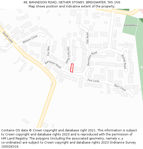 48, BANNESON ROAD, NETHER STOWEY, BRIDGWATER, TA5 1NS: Location map and indicative extent of plot