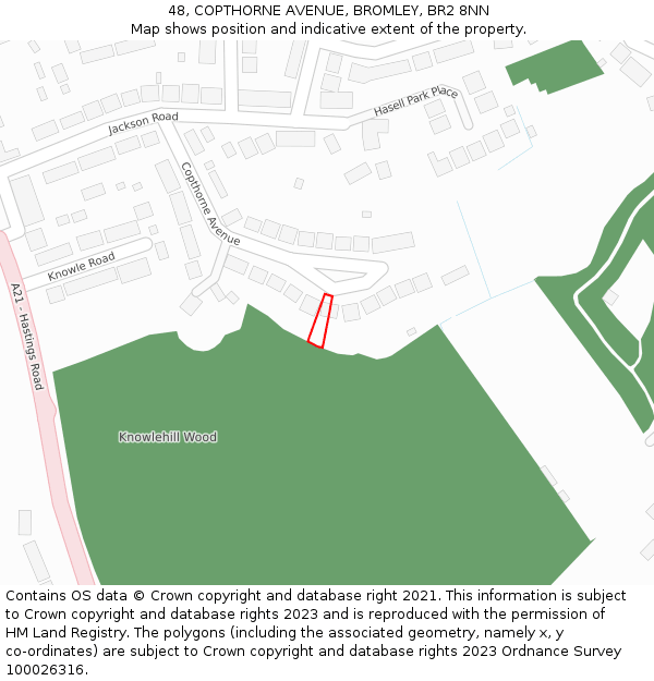 48, COPTHORNE AVENUE, BROMLEY, BR2 8NN: Location map and indicative extent of plot