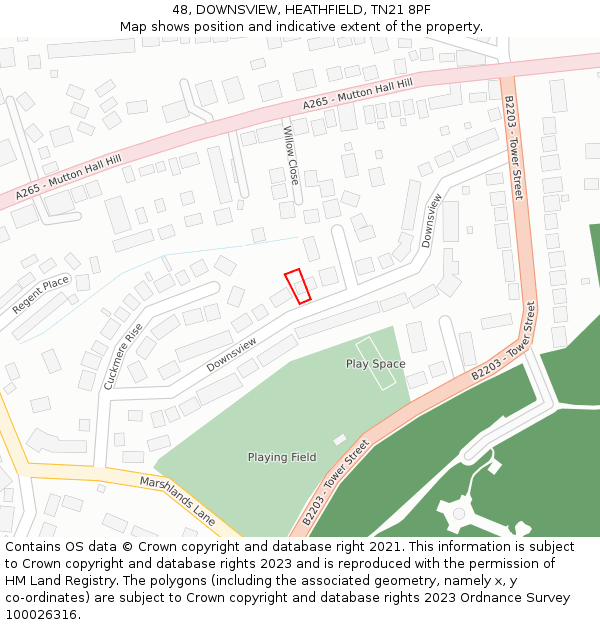 48, DOWNSVIEW, HEATHFIELD, TN21 8PF: Location map and indicative extent of plot