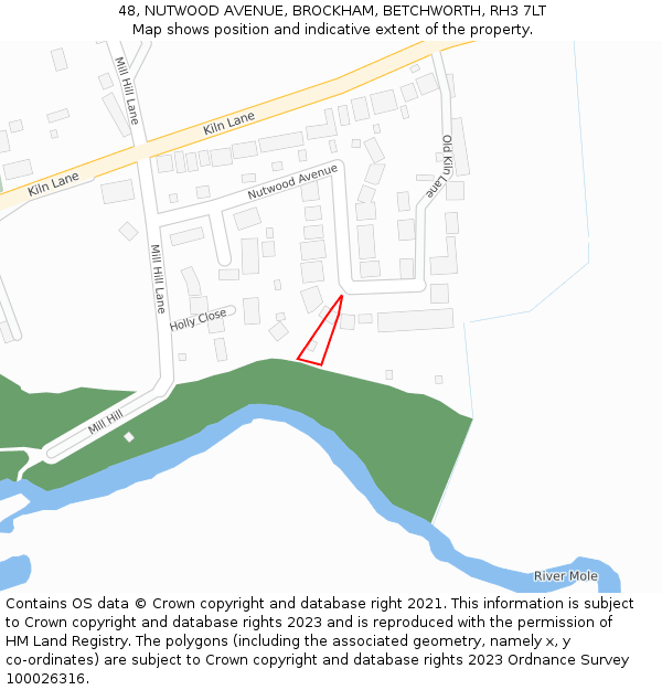 48, NUTWOOD AVENUE, BROCKHAM, BETCHWORTH, RH3 7LT: Location map and indicative extent of plot