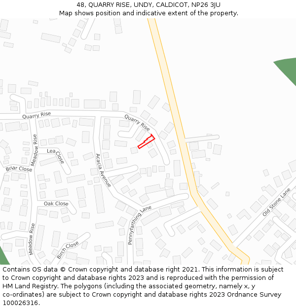 48, QUARRY RISE, UNDY, CALDICOT, NP26 3JU: Location map and indicative extent of plot