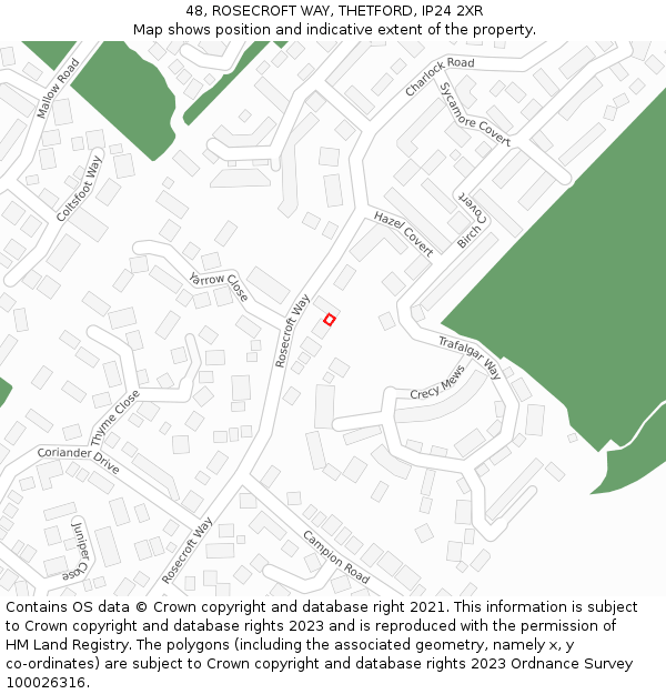 48, ROSECROFT WAY, THETFORD, IP24 2XR: Location map and indicative extent of plot