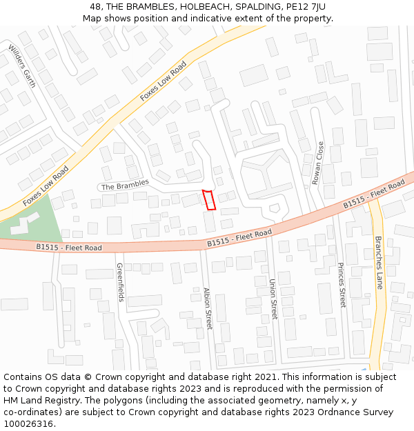48, THE BRAMBLES, HOLBEACH, SPALDING, PE12 7JU: Location map and indicative extent of plot