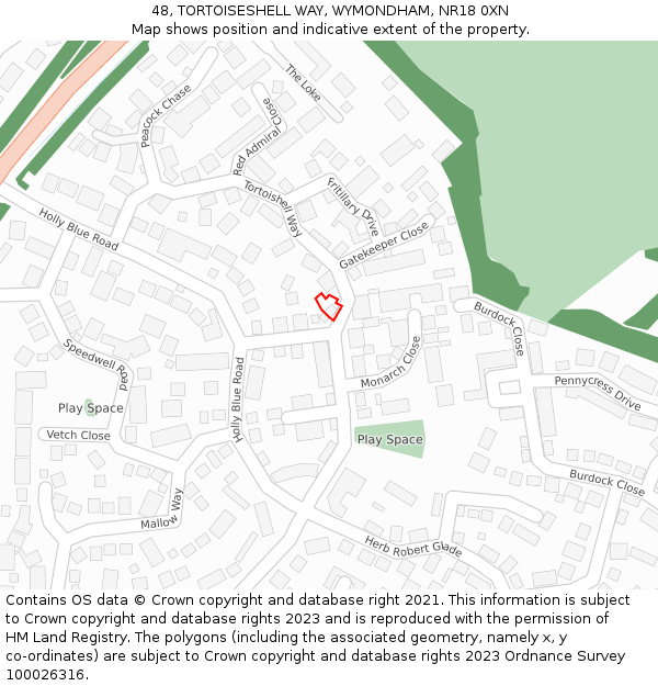 48, TORTOISESHELL WAY, WYMONDHAM, NR18 0XN: Location map and indicative extent of plot