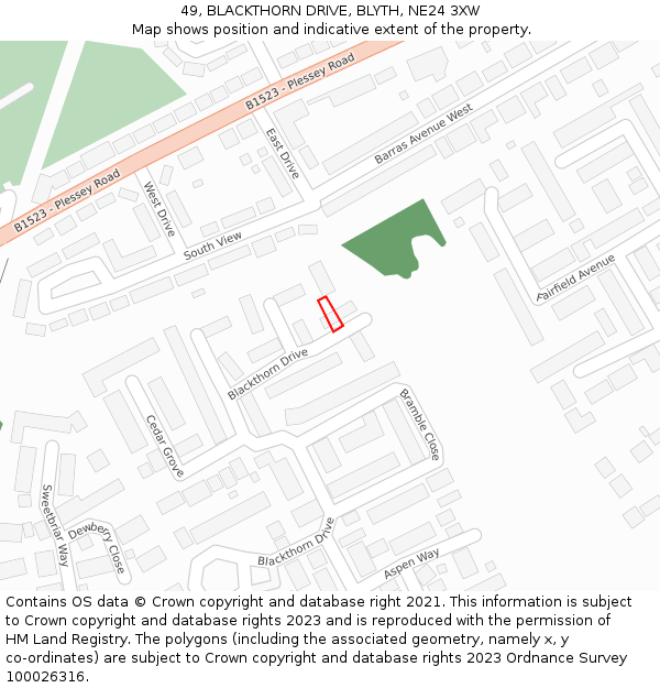 49, BLACKTHORN DRIVE, BLYTH, NE24 3XW: Location map and indicative extent of plot