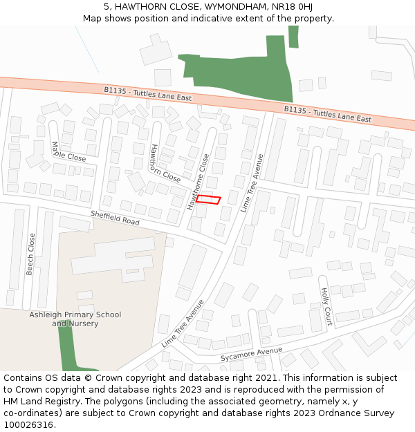 5, HAWTHORN CLOSE, WYMONDHAM, NR18 0HJ: Location map and indicative extent of plot