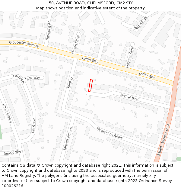 50, AVENUE ROAD, CHELMSFORD, CM2 9TY: Location map and indicative extent of plot