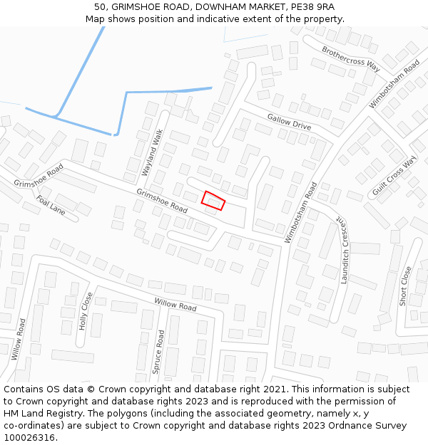 50, GRIMSHOE ROAD, DOWNHAM MARKET, PE38 9RA: Location map and indicative extent of plot