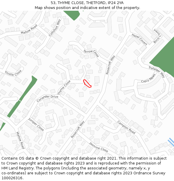 53, THYME CLOSE, THETFORD, IP24 2YA: Location map and indicative extent of plot