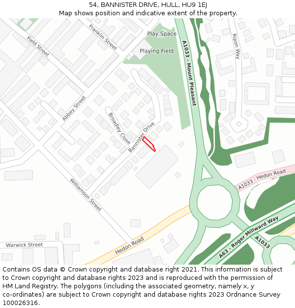 54, BANNISTER DRIVE, HULL, HU9 1EJ: Location map and indicative extent of plot