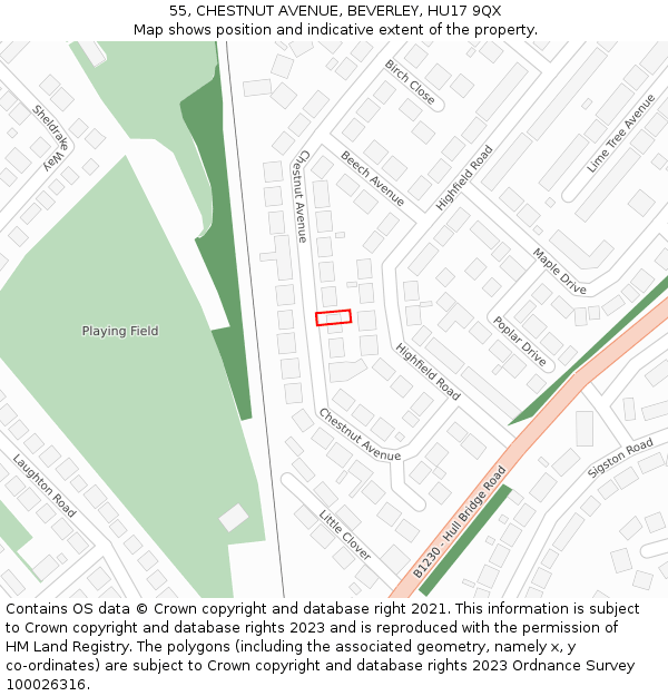 55, CHESTNUT AVENUE, BEVERLEY, HU17 9QX: Location map and indicative extent of plot