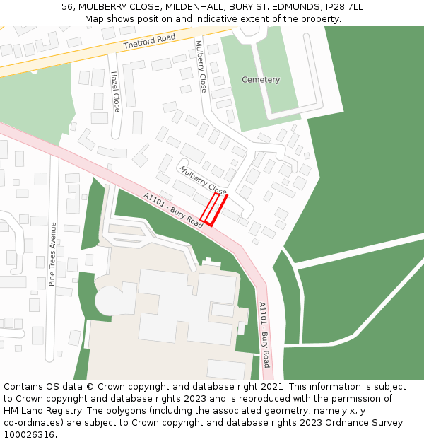 56, MULBERRY CLOSE, MILDENHALL, BURY ST. EDMUNDS, IP28 7LL: Location map and indicative extent of plot