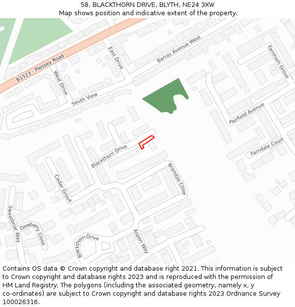 58, BLACKTHORN DRIVE, BLYTH, NE24 3XW: Location map and indicative extent of plot