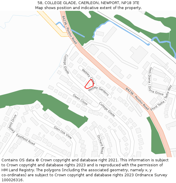 58, COLLEGE GLADE, CAERLEON, NEWPORT, NP18 3TE: Location map and indicative extent of plot