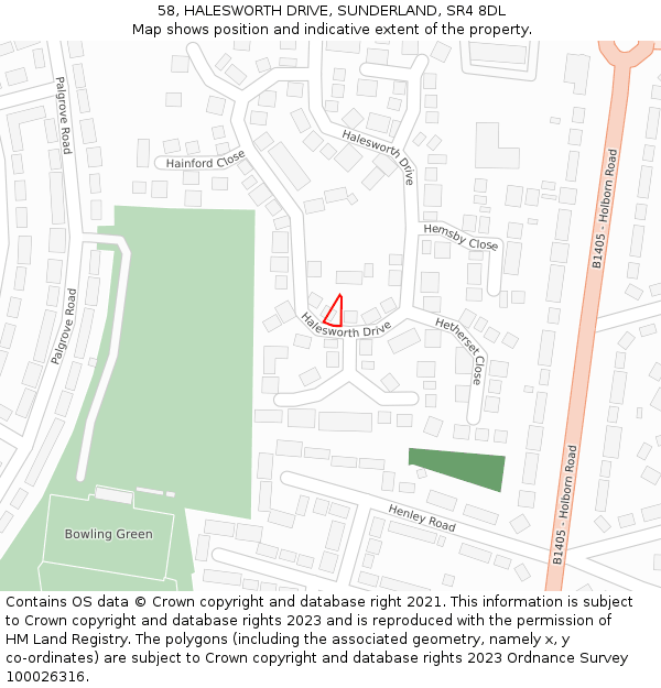 58, HALESWORTH DRIVE, SUNDERLAND, SR4 8DL: Location map and indicative extent of plot