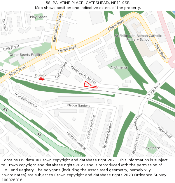 58, PALATINE PLACE, GATESHEAD, NE11 9SR: Location map and indicative extent of plot