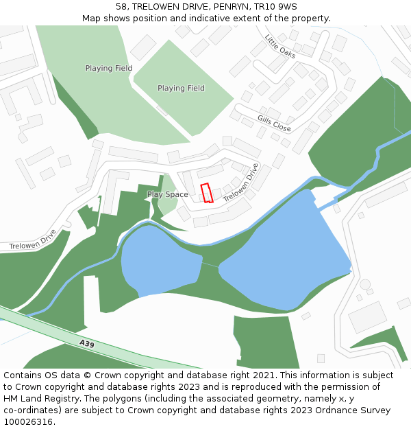 58, TRELOWEN DRIVE, PENRYN, TR10 9WS: Location map and indicative extent of plot