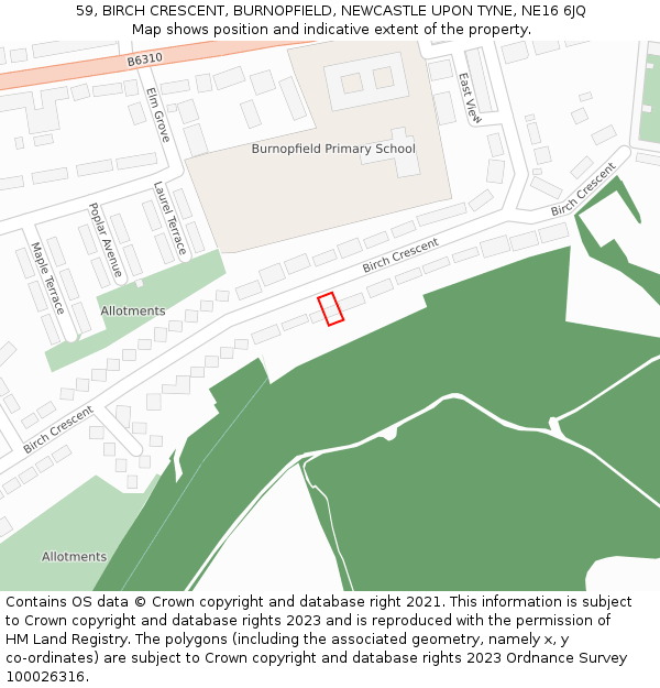59, BIRCH CRESCENT, BURNOPFIELD, NEWCASTLE UPON TYNE, NE16 6JQ: Location map and indicative extent of plot