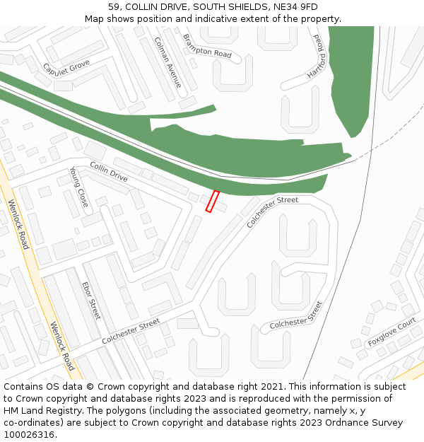 59, COLLIN DRIVE, SOUTH SHIELDS, NE34 9FD: Location map and indicative extent of plot