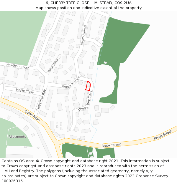 6, CHERRY TREE CLOSE, HALSTEAD, CO9 2UA: Location map and indicative extent of plot