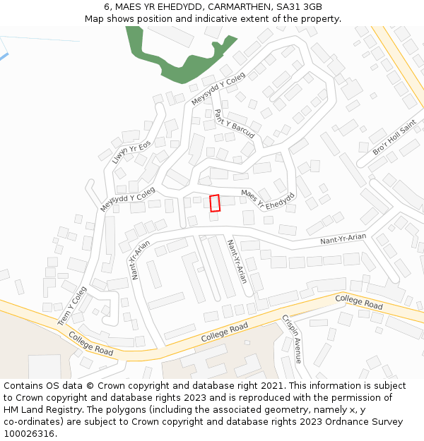 6, MAES YR EHEDYDD, CARMARTHEN, SA31 3GB: Location map and indicative extent of plot