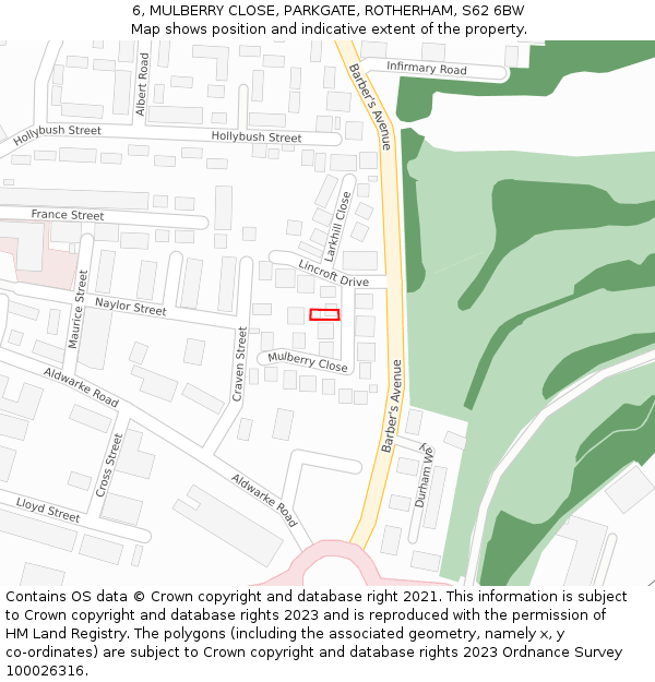 6, MULBERRY CLOSE, PARKGATE, ROTHERHAM, S62 6BW: Location map and indicative extent of plot