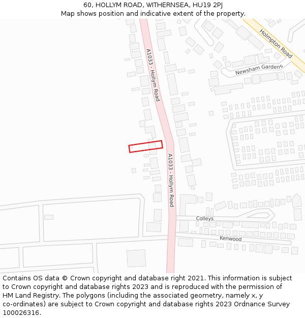 60, HOLLYM ROAD, WITHERNSEA, HU19 2PJ: Location map and indicative extent of plot