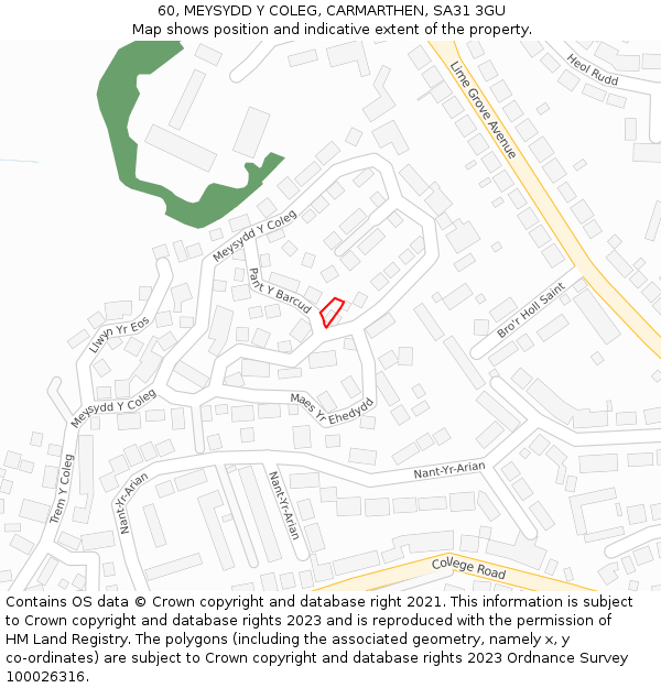 60, MEYSYDD Y COLEG, CARMARTHEN, SA31 3GU: Location map and indicative extent of plot