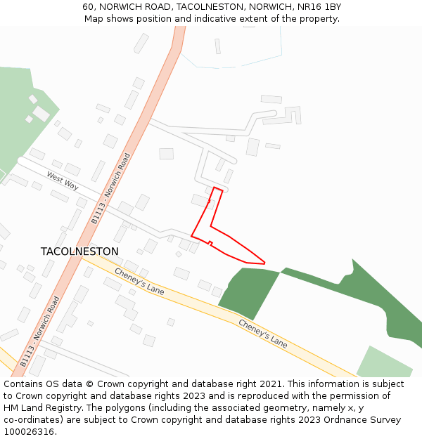 60, NORWICH ROAD, TACOLNESTON, NORWICH, NR16 1BY: Location map and indicative extent of plot
