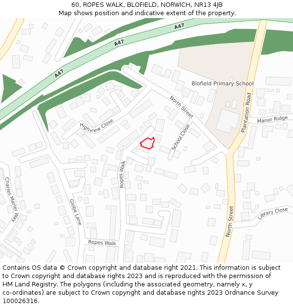 60, ROPES WALK, BLOFIELD, NORWICH, NR13 4JB: Location map and indicative extent of plot