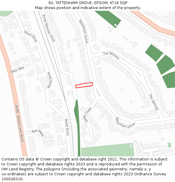 60, TATTENHAM GROVE, EPSOM, KT18 5QP: Location map and indicative extent of plot
