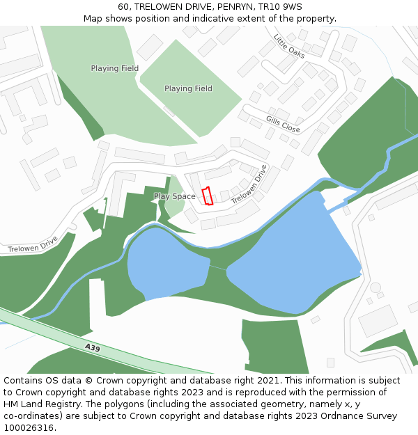 60, TRELOWEN DRIVE, PENRYN, TR10 9WS: Location map and indicative extent of plot