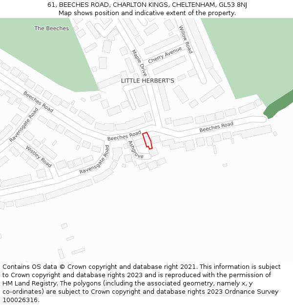 61, BEECHES ROAD, CHARLTON KINGS, CHELTENHAM, GL53 8NJ: Location map and indicative extent of plot