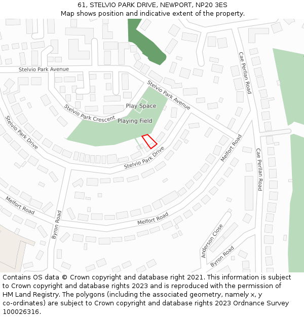 61, STELVIO PARK DRIVE, NEWPORT, NP20 3ES: Location map and indicative extent of plot