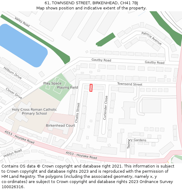 61, TOWNSEND STREET, BIRKENHEAD, CH41 7BJ: Location map and indicative extent of plot