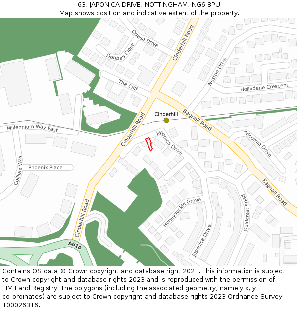 63, JAPONICA DRIVE, NOTTINGHAM, NG6 8PU: Location map and indicative extent of plot